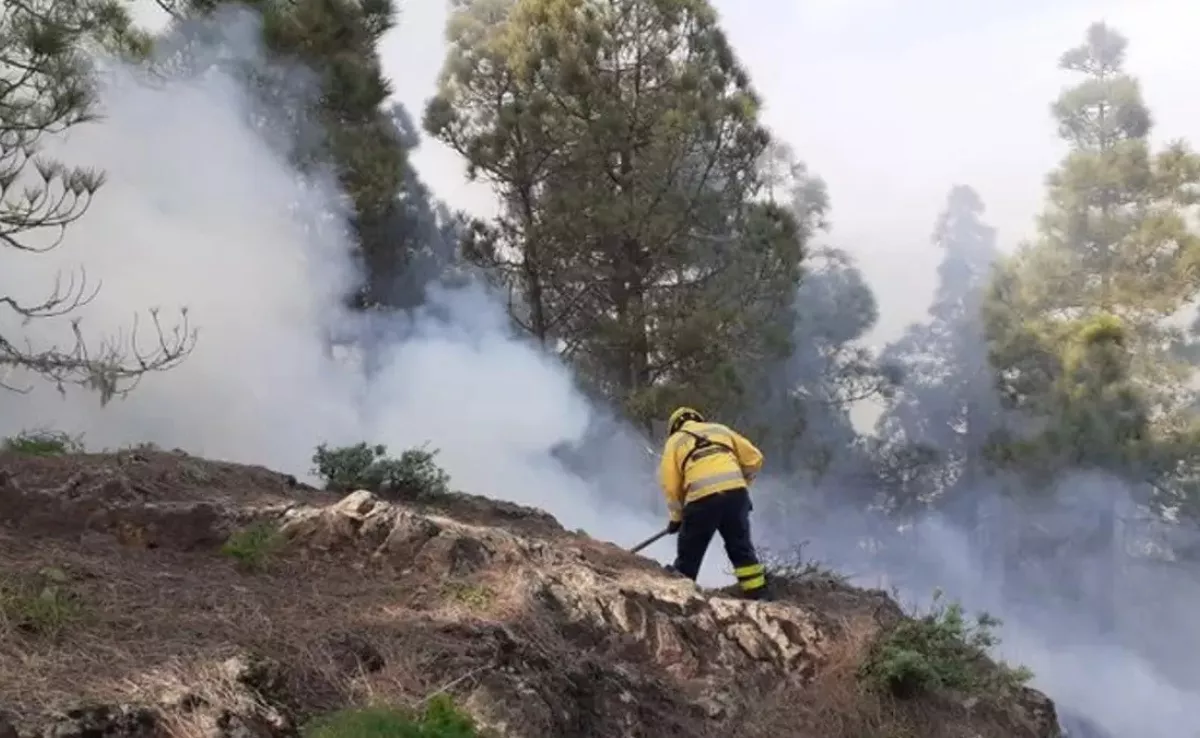 Un conato de incendio en la cumbre de Gran Canaria / IMAGEN DE ARCHIVO