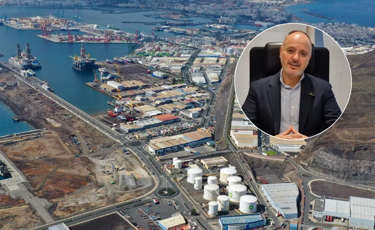 David Regades, delegado especial del Estado en el Consorcio de la Zona Franca de Vigo / MONTAJE AH