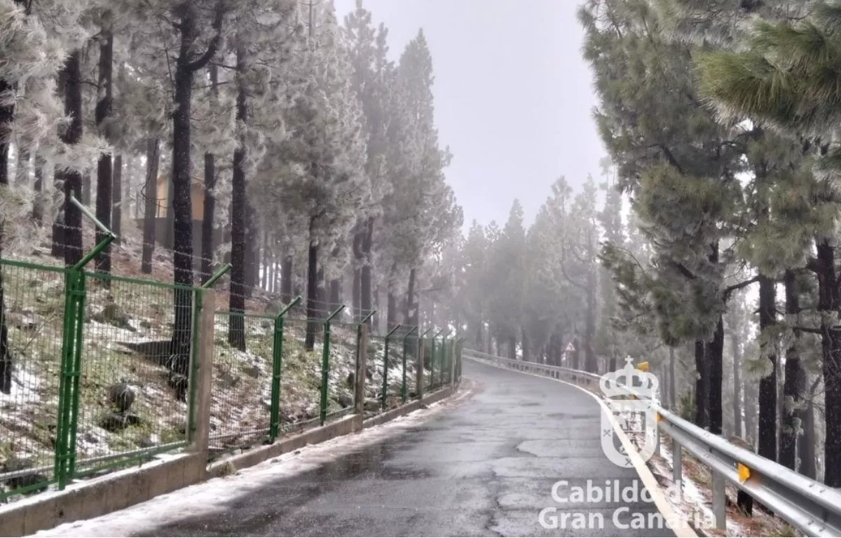 Aguanieve y granizo en el Pico de las Nieves durante este martes. CABILDO