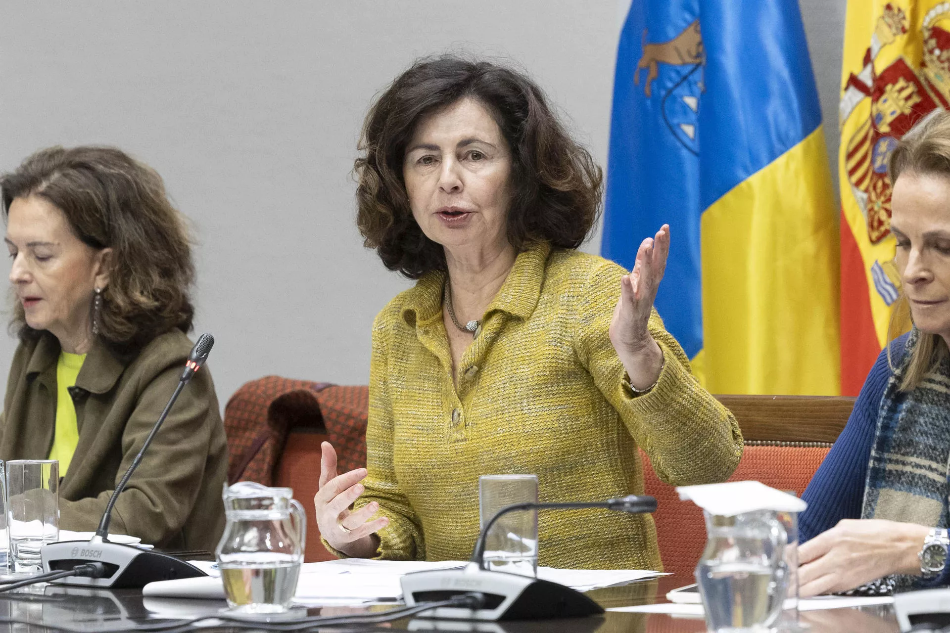 La consejera de Hacienda del Gobierno canario, Matilde Asián. / MIGUEL BARRETO-EFE