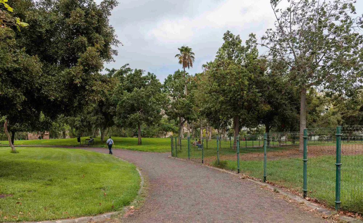 Zonas verdes del Parque de Las Rehoyas en Las Palmas de Gran Canaria / LPA VISIT