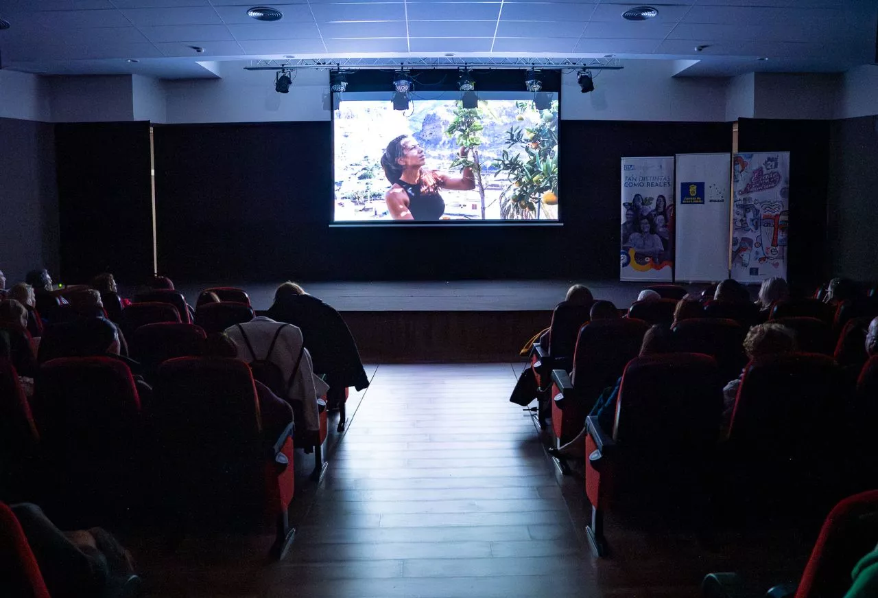 Proyección del documental 'Érase una vez Nosotras', en el Cabildo de Gran Canaria. /Cedida