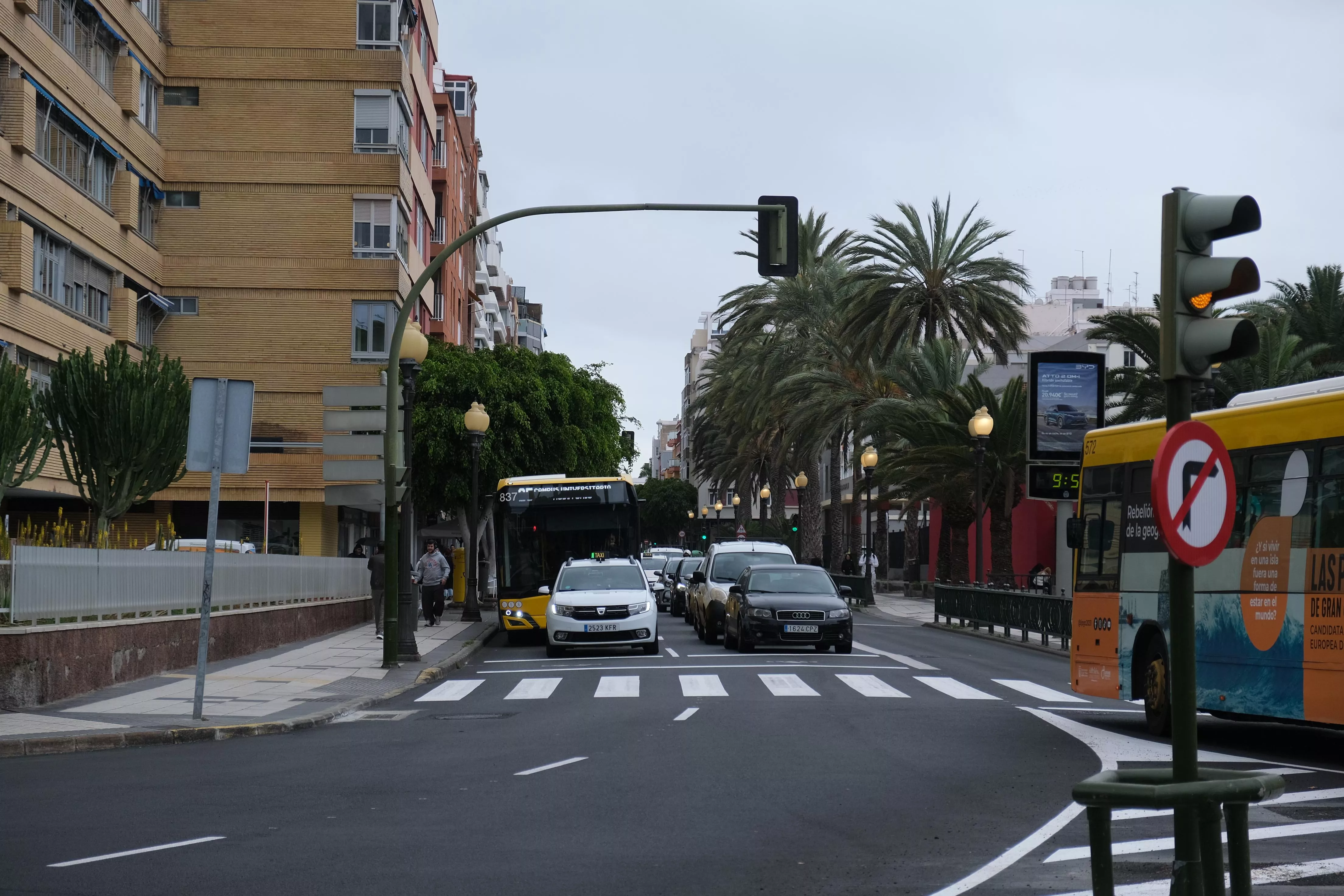 Imagen del paseo de Tomás Morales. / AYUNTAMIENTO DE LAS PALMAS DE GRAN CANARIA