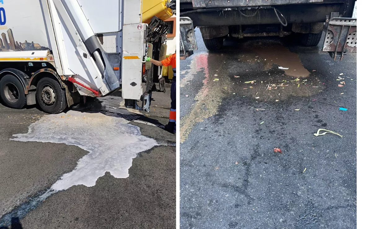 Imagen de los camiones de recogida en Las Palmas de Gran Canaria / CEDIDA