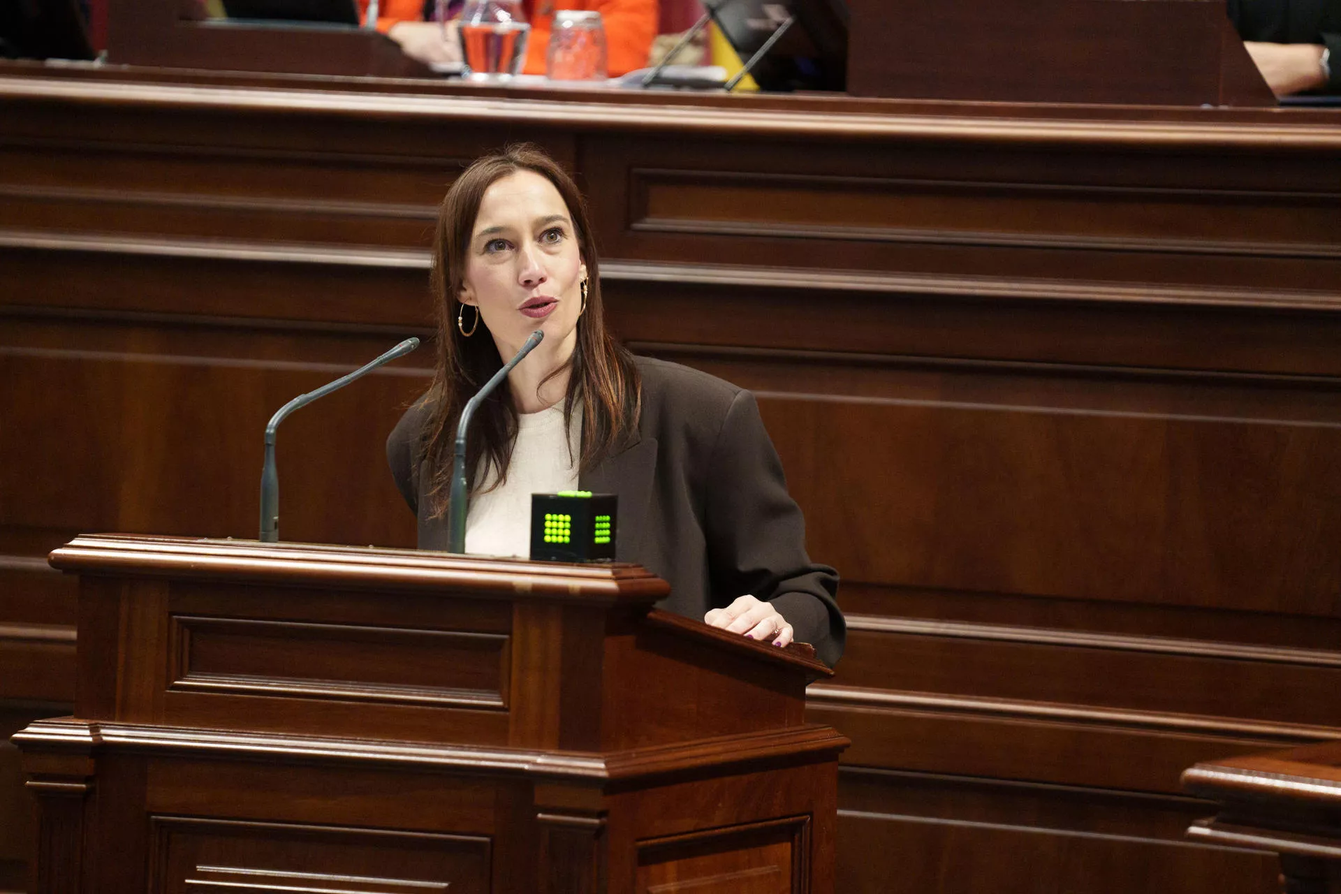 La diputada del grupo socialista canario, Nira Fierro, en el Parlamento de Canarias. / EFE - RAMÓN DE LA ROCHA