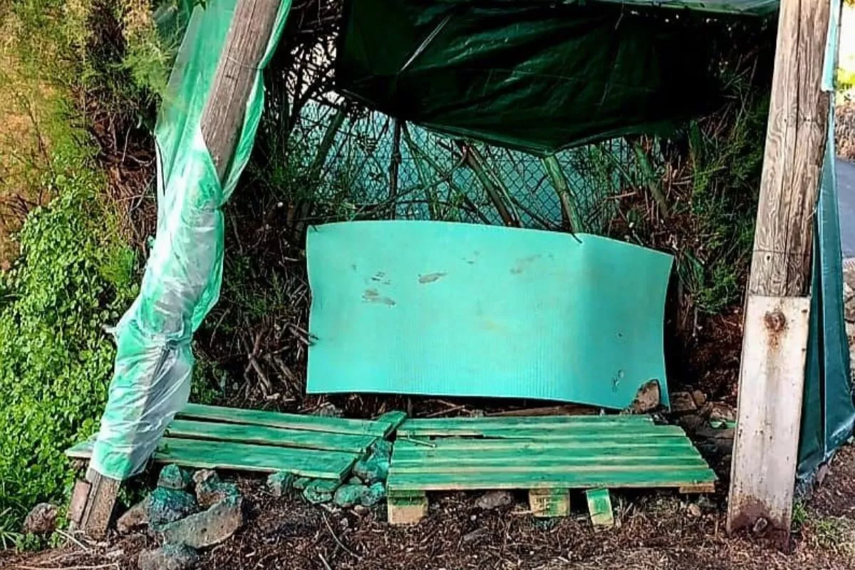  Marquesina creada por los vecinos de Tejina. /Cedida