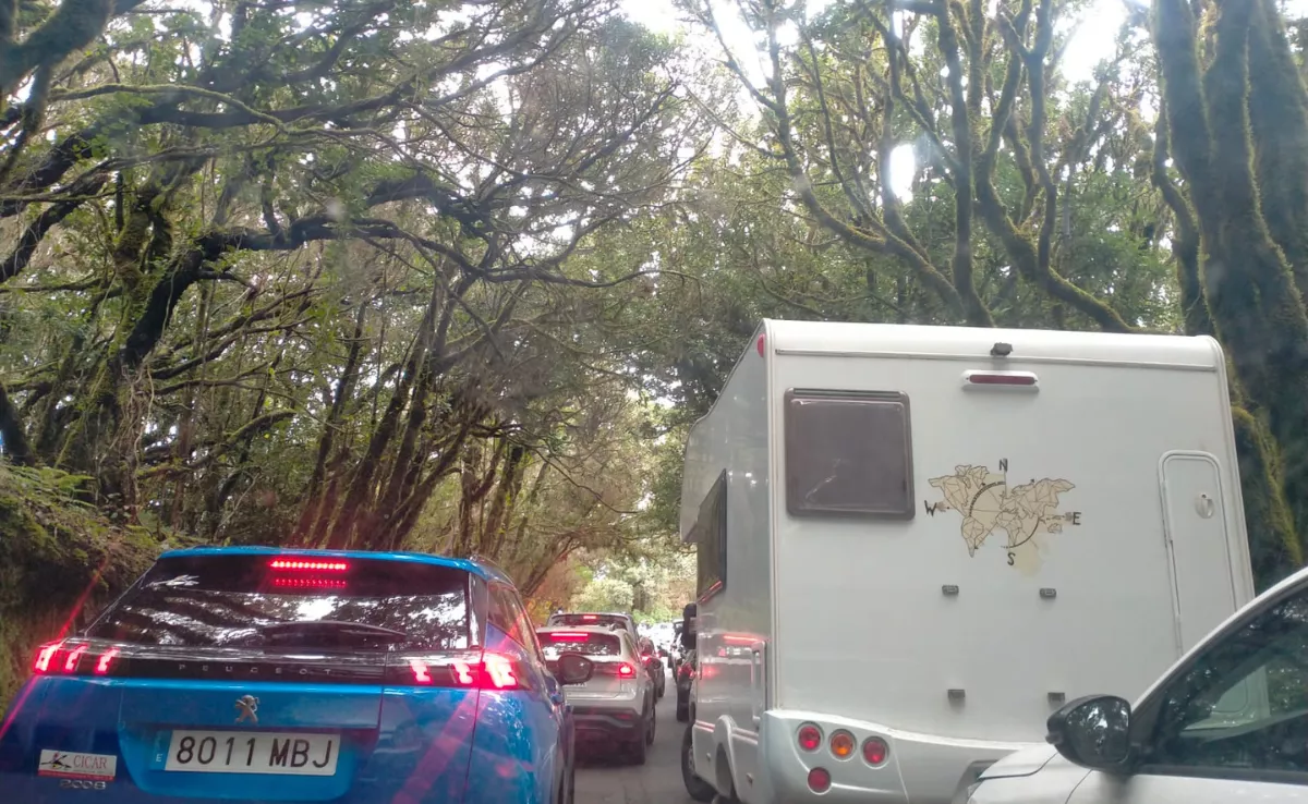 Colapso de vehículos en el Parque Rural de Anaga. / ATLÁNTICO HOY