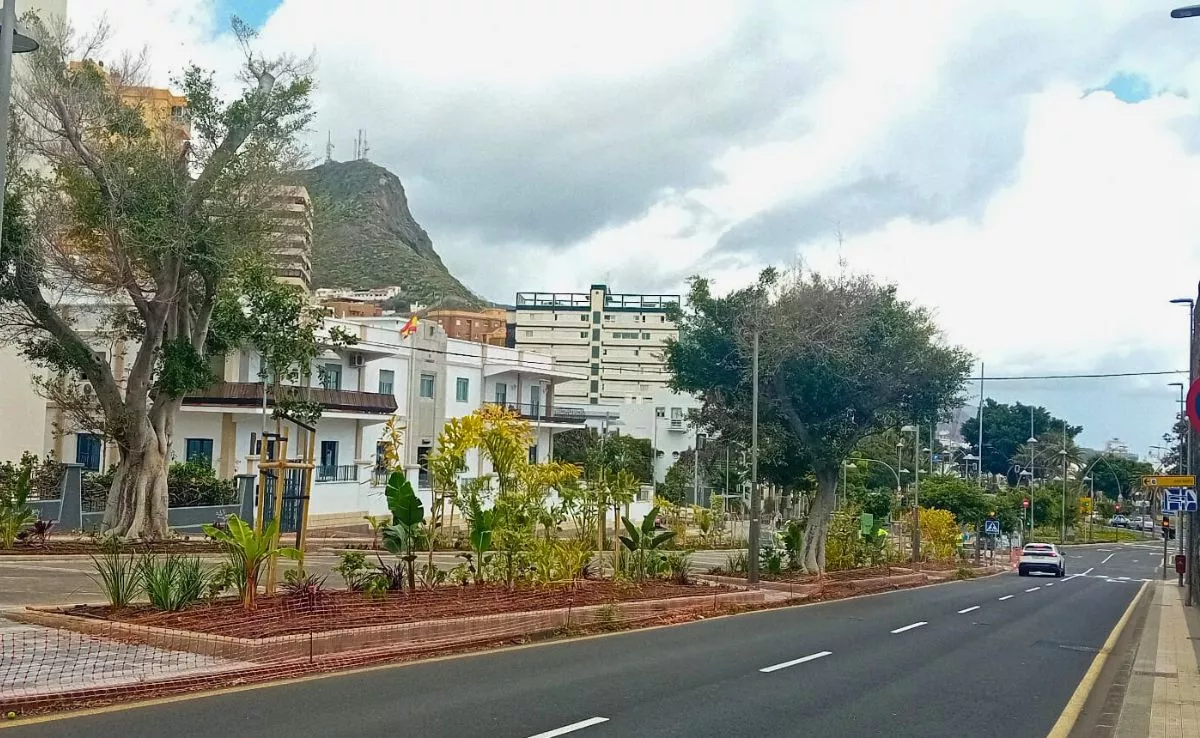 Árboles y arbustos plantados en los alcorques de la Rambla de Santa Cruz|AH