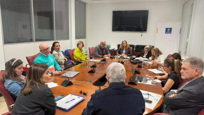 Momento de la comisión de pleno este martes / MARCOS MORENO - ATLÁNTICO HOY