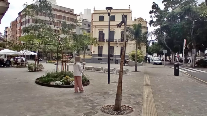 Palmera muerta en la plaza de Orche 