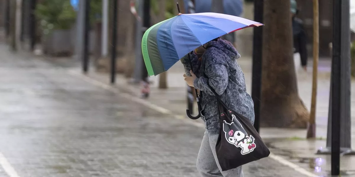 Imagen de una persona en un día ventoso / EFE