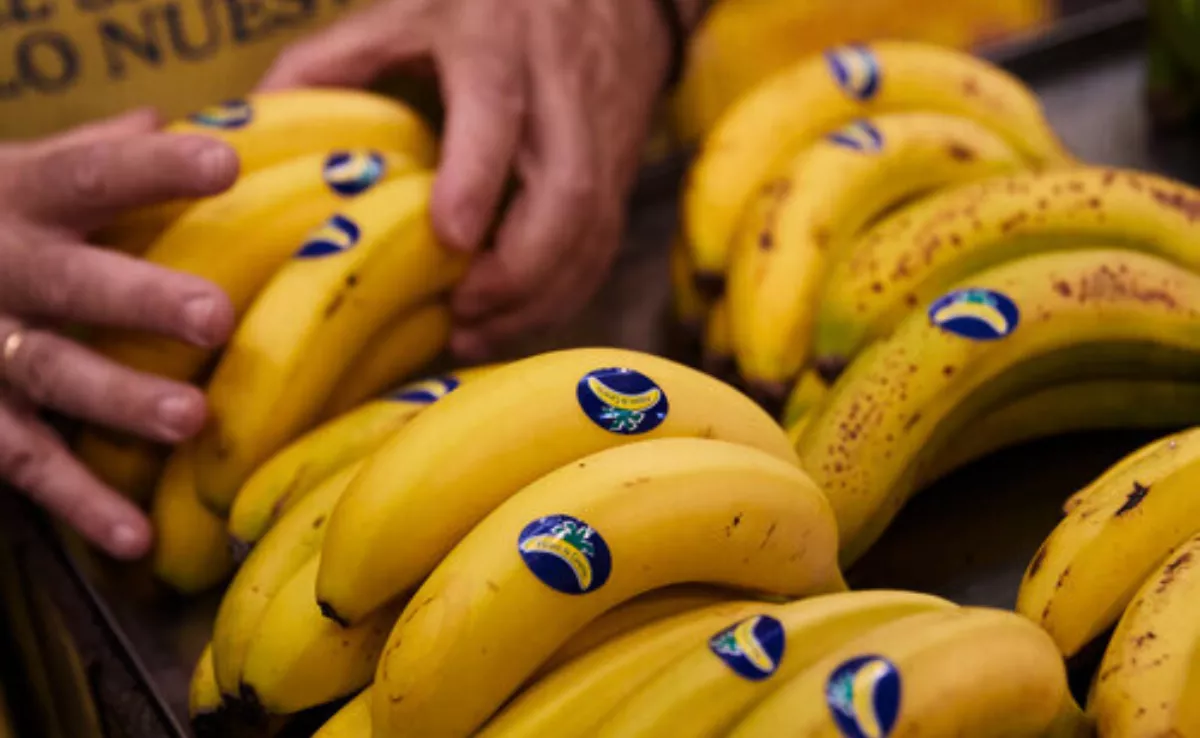 El plátano canario ha perdido cuota frente a la banana / AH