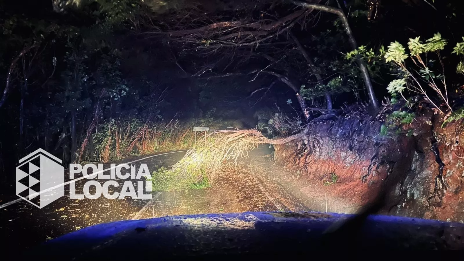 Paso de la borrasca 'Therese' por Santa Cruz de Tenerife. / AYUNTAMIENTO DE SANTA CRUZ DE TENERIFE