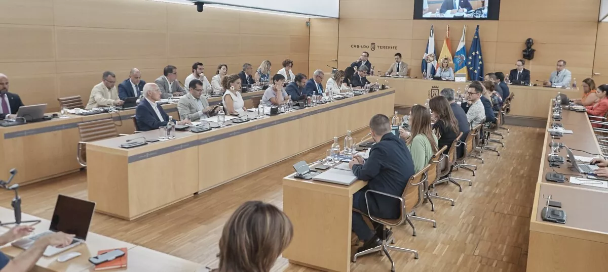 Pleno del Cabildo Tenerife