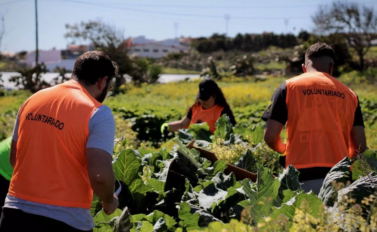 Voluntarios de La Rebusca|LAURAARTILES