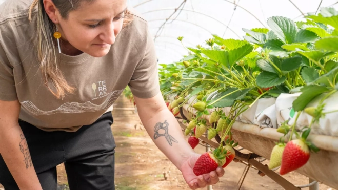 El evento pone en contacto a productores con cocineros / CABILDO DE GRAN CANARIA El evento pone en contacto a productores con cocineros / CABILDO DE GRAN CANARIA