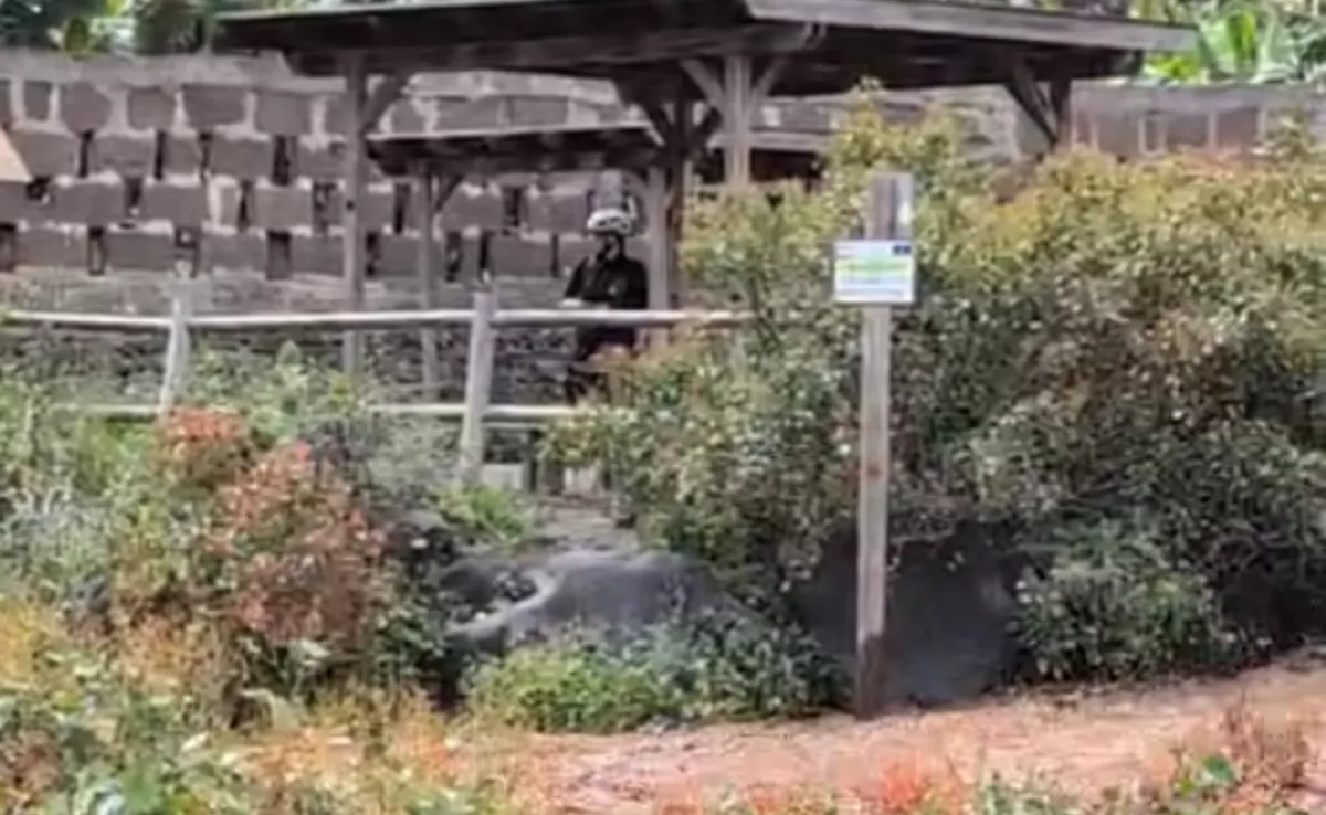 Una de las personas atrapadas en el barranco de Guiniguada, en Gran Canaria./ CEDIDA