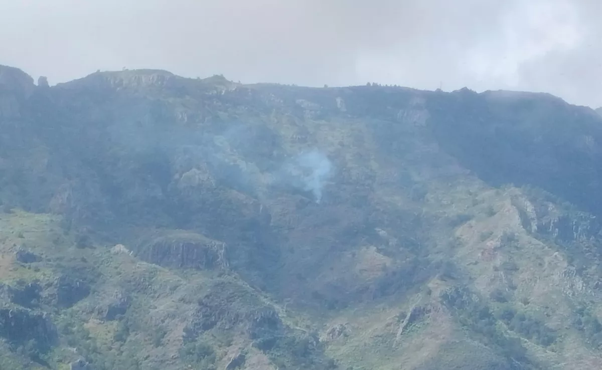 Conato de incendio en la cuenca de Chejelipes, en La Gomera./ CABILDO