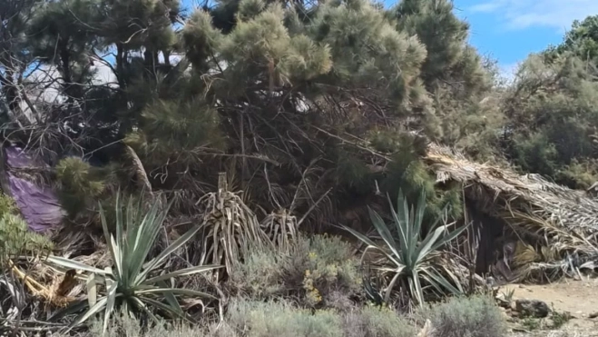 Chabola de Yaiza en Granadilla
