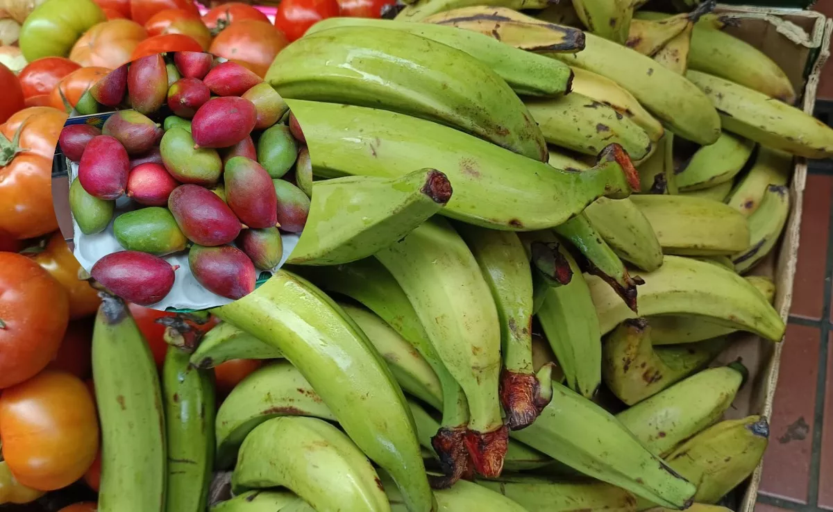 Fruta denunciada como importada de manera ilegal a Canarias. / PALCA