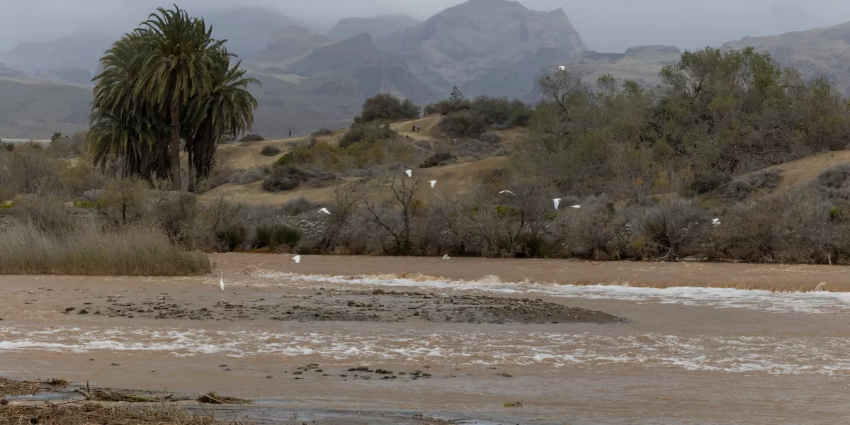 Imagen de un barranco tras la borrasca / EFE