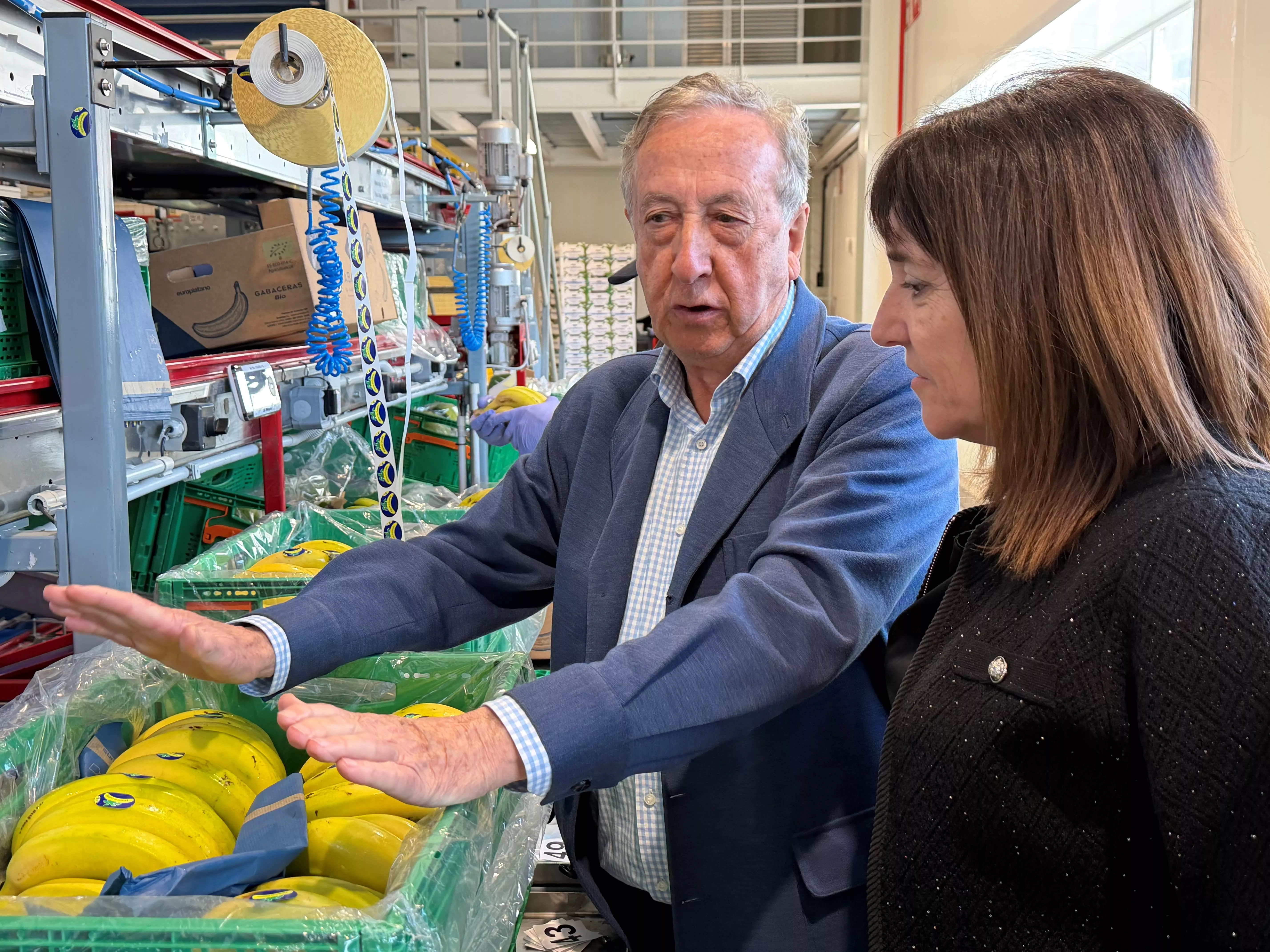 Amaia Barredo, consejera de Alimentación, Desarrollo Rural, Agricultura y Pesca del Gobierno Vasco, durante su visita a la planta de Europlátano en Orozko. / IREKIA