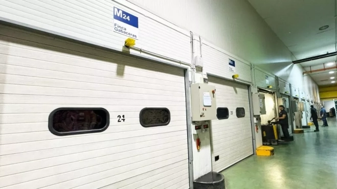 Planta de maduración de Europlátano en Alicante. / AH