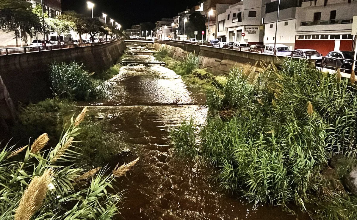 Incidencias en Santa Cruz por la borrasca Therese / AYUNTAMIENTO DE SANTA CRUZ DE TENERIFE