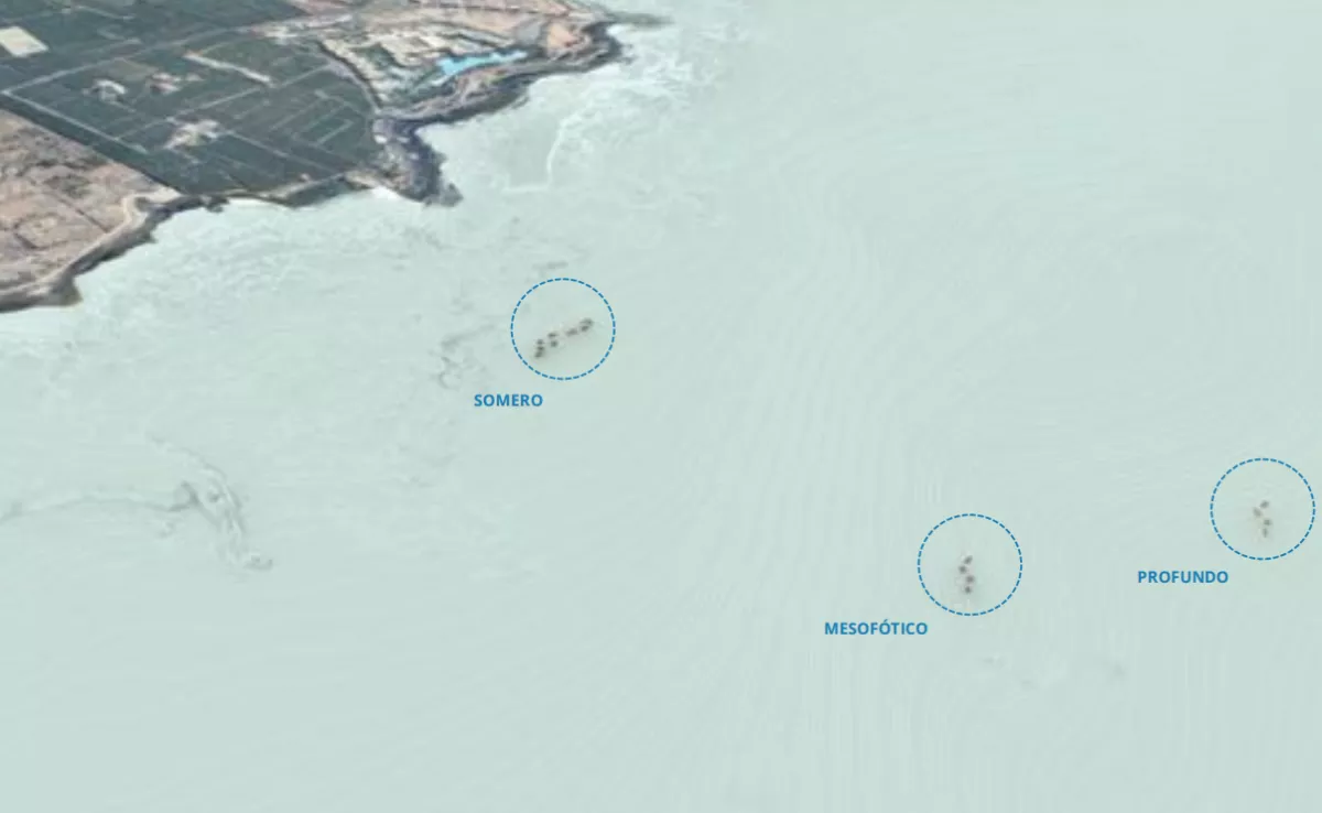 Grupo de arrecifes artificiales que se proyectan en Guía de Isora. / PROYECTO