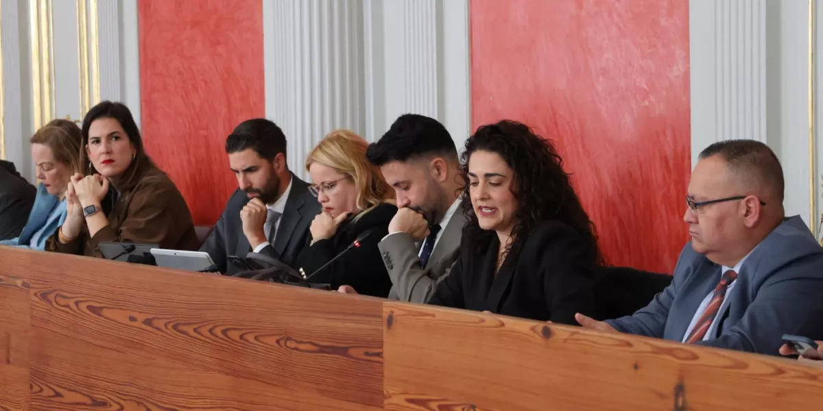 Imagen del pleno del ayuntamiento / AYUNTAMIENTO DE LAS PALMAS DE GRAN CANARIA