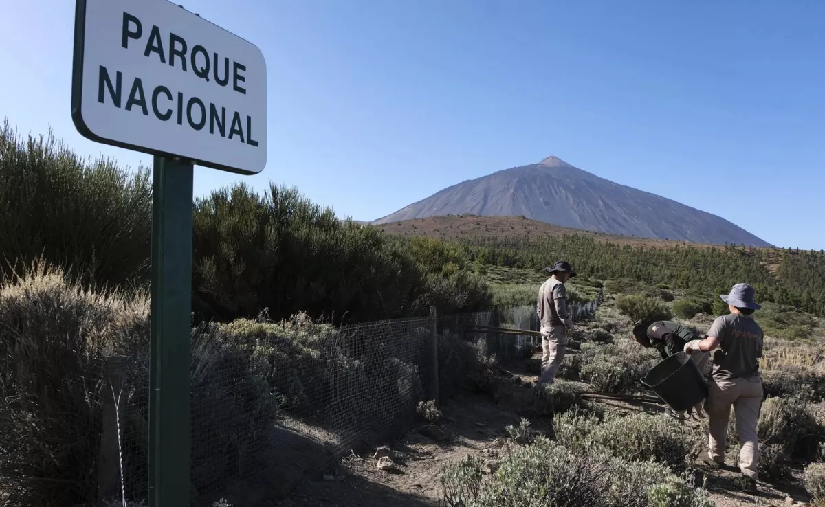 Imagen del Parque Nacional del Teide / EFE