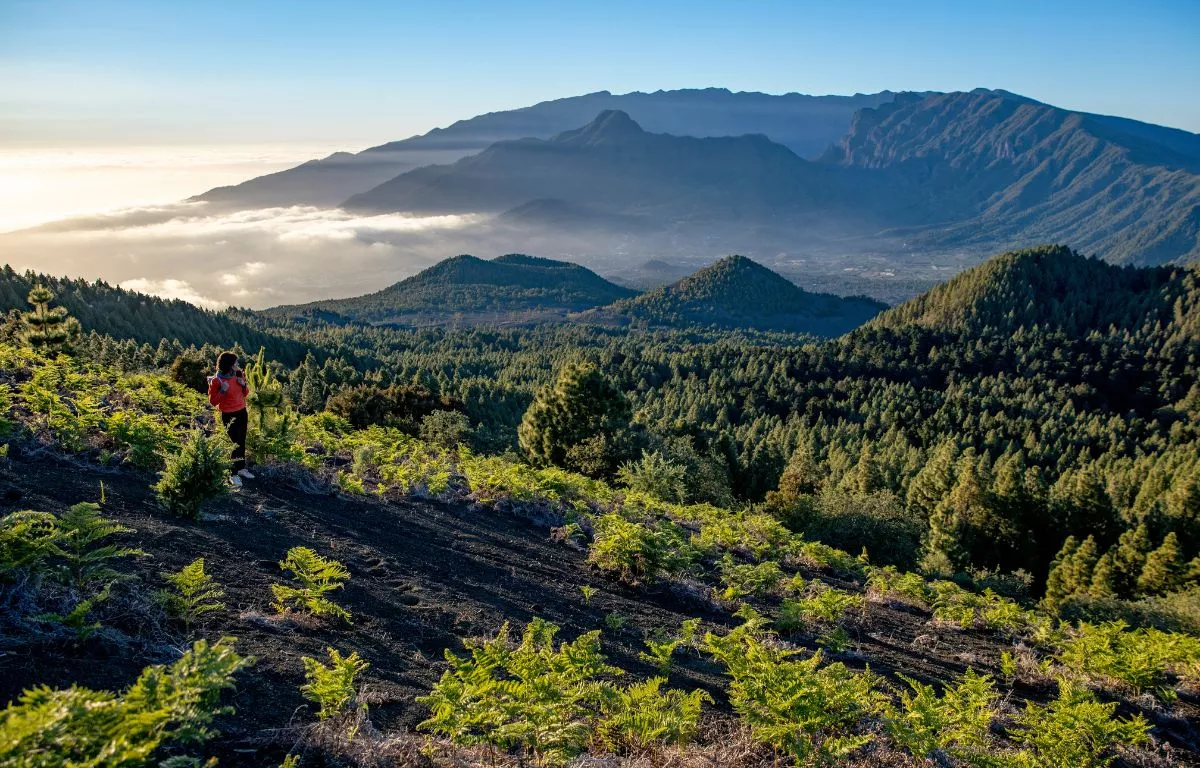 Isla de La Palma. CEDIDA