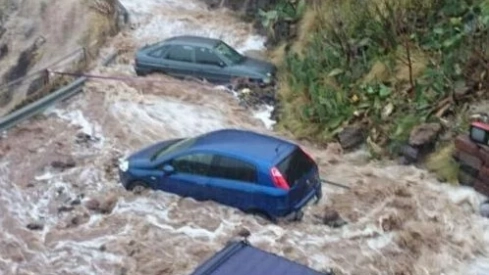31 de marzo Santa Cruz de Tenerife| Meteored España
