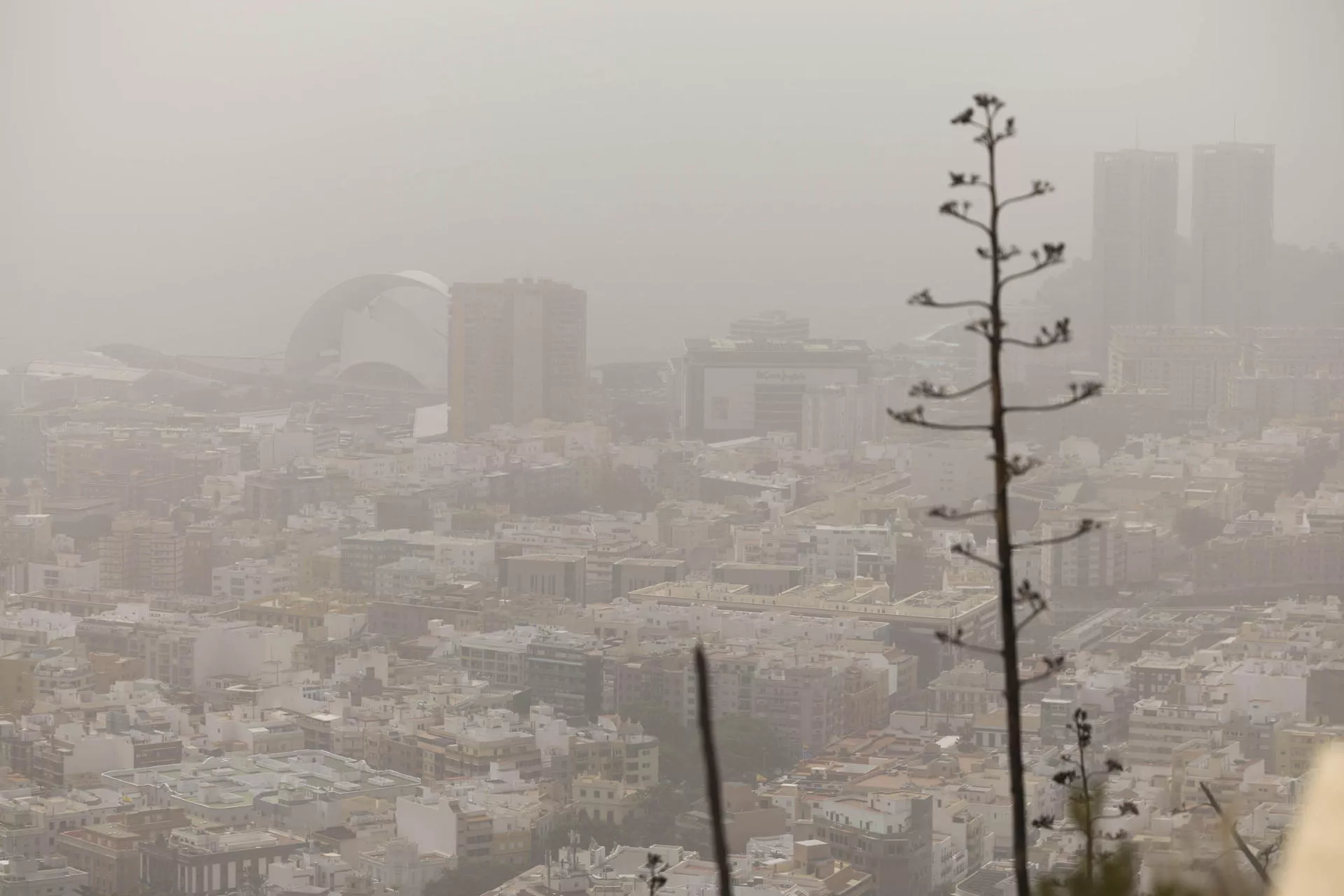 Vista panorámica de Santa Cruz de Tenerife. / EFE  - MIGUEL BARRETO