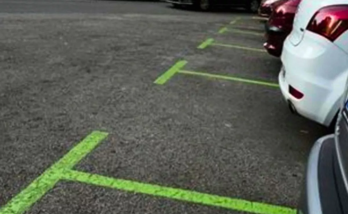 Aparcamiento en una zona verde de una ciudad española |REDES