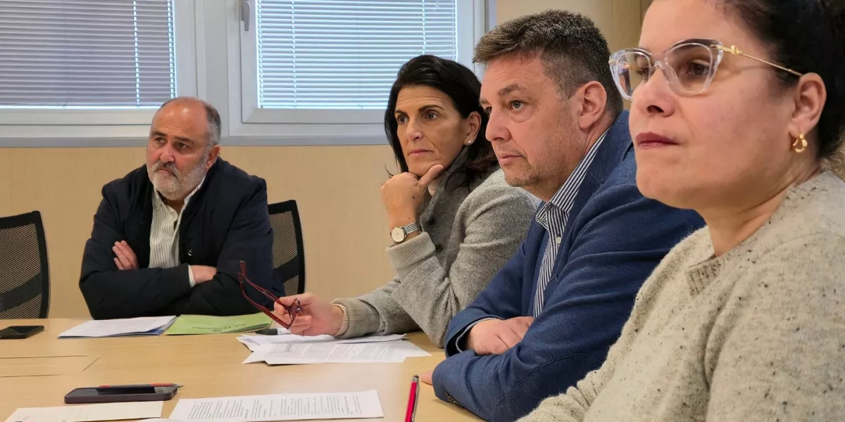 Imagen de la reunión de emergencias / CABILDO DE TENERIFE