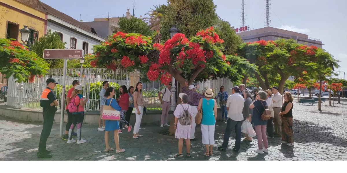 Imagen de los árboles singulares de Santa Cruz  AYUNTAMIENTO DE SANTA CRUZ DE TENERIFE