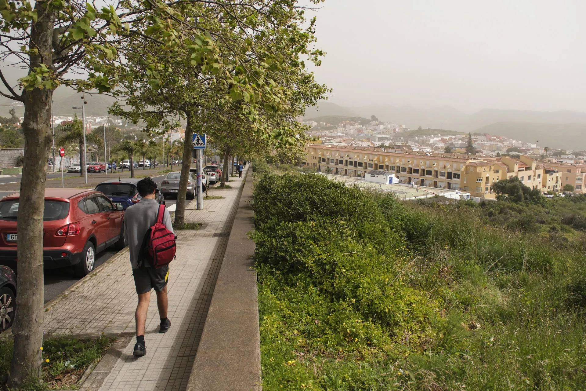 Vista del municipio tinerfeño de La Laguna. / EFE - ALBERTO VALDÉS
