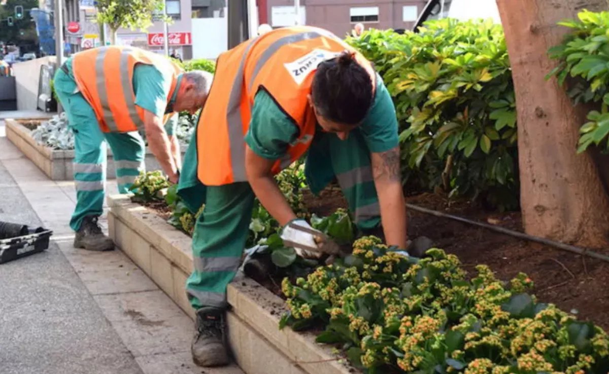 Imagen de un trabajador de Parques y Jardines de Santa Cruz / AYUNTAMIENTO DE SANTA CRUZ DE TENERIFE