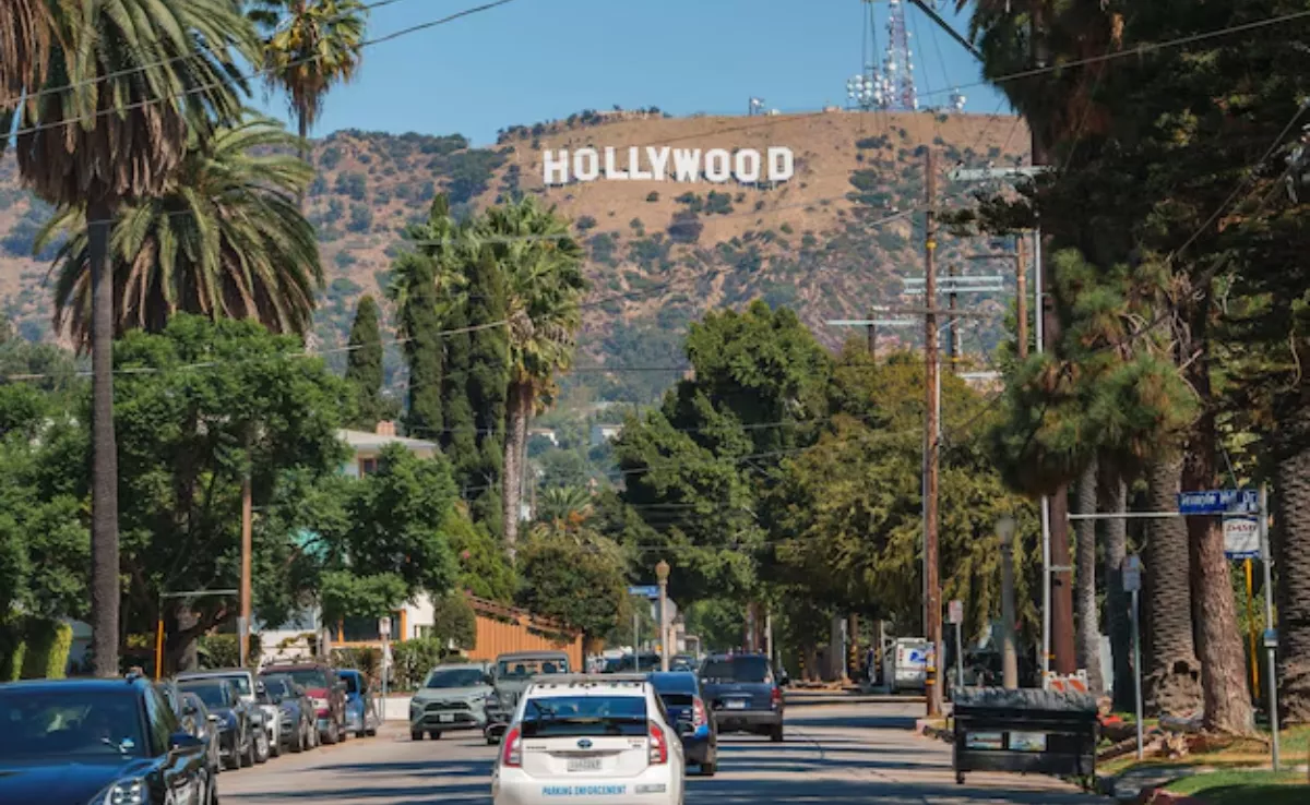 Imagen de palmeras canarias en el paseo de Los Ángeles / FREEPIK