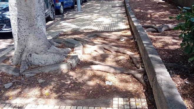 Estado de las aceras en la zona del barranco de Tahodio, en Santa Cruz
