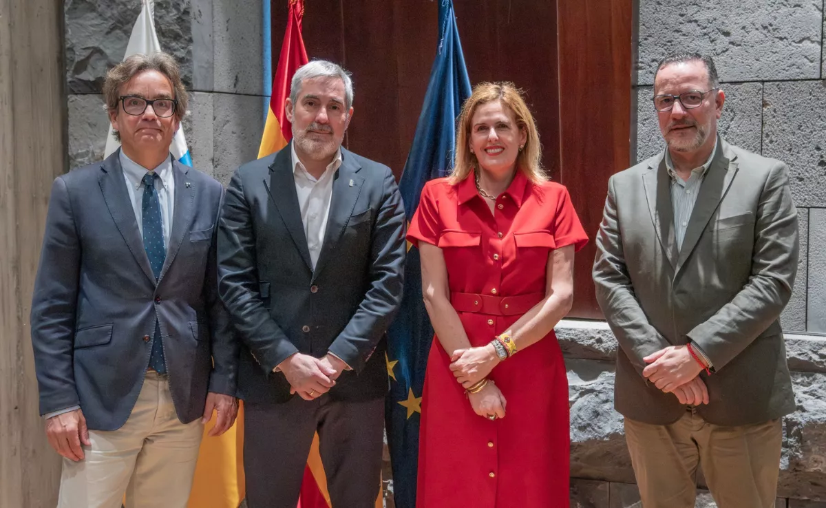 Reunión entre el Gobierno de Canarias y ecca.edu / ecca.edu