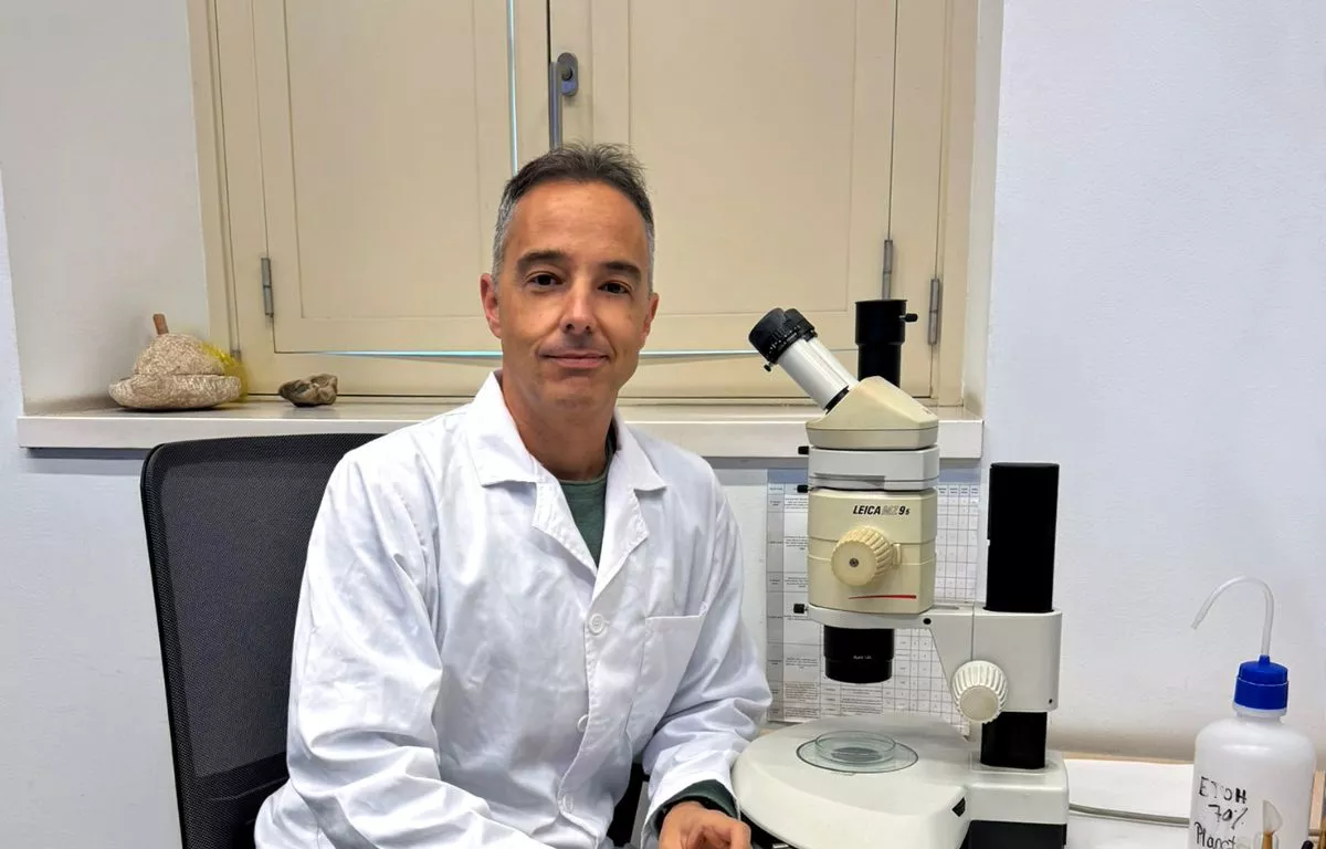 Alejandro de Vera, nuevo director del Museo de Ciencias Naturales de Tenerife. AH
