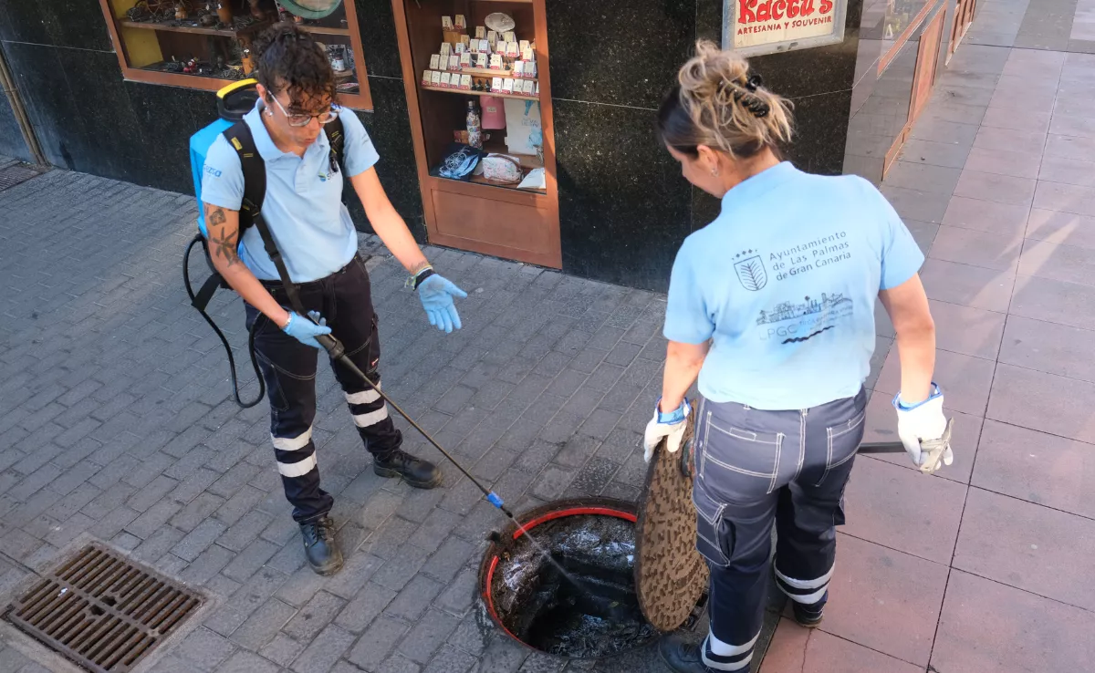Actuaciones de fumigación en la ciudad / AYUNTAMIENTO DE LAS PALMAS DE GRAN CANARIA
