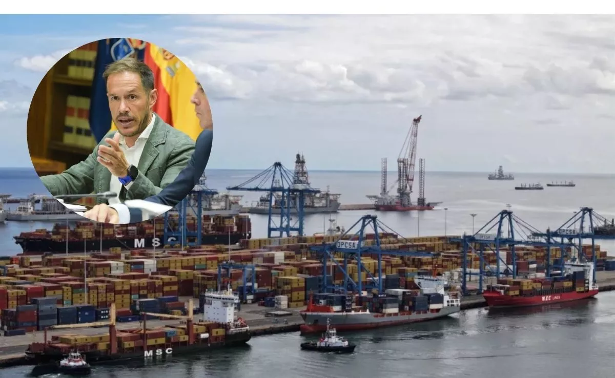 Fotomontaje del Puerto de La Luz y de Las Palmas y el consejero de Transición Ecológica del Gobierno de Canarias, Mariano H. Zapata. AH