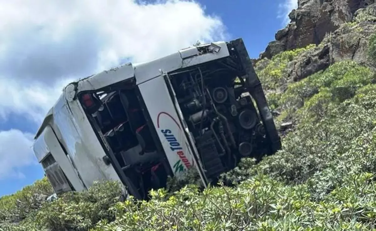 Guagua de Gomera Tours accidentada en San Sebastián de La Gomera, que ha dejado un fallecido./ RRSS