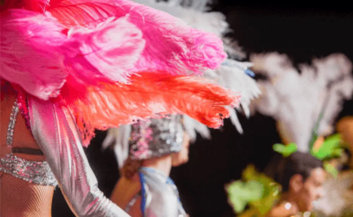 Carnaval de Arrecife / HOLA ISLAS CANARIAS