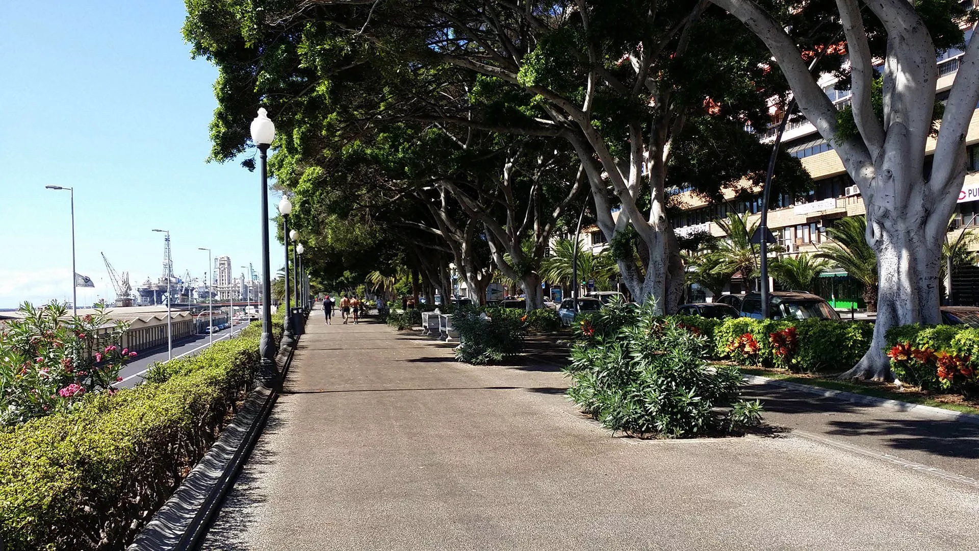 Imagen de la avenida de Anaga, en Santa Cruz de Tenerife. / POLICÍA LOCAL DE SANTA CRUZ DE TENERIFE