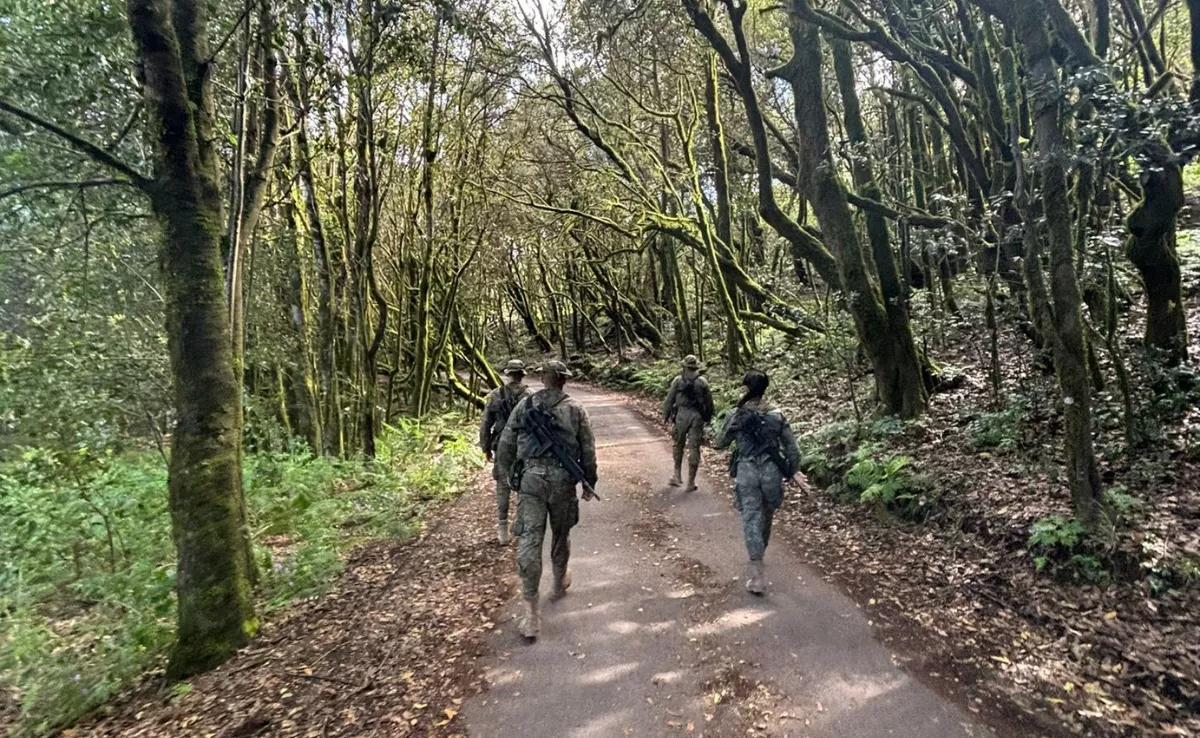 Presencia militar en Canarias. / MANDO DE CANARIAS