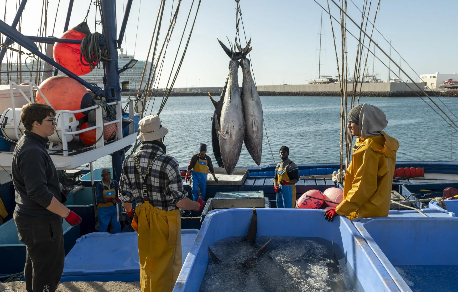 Descarga de atunes en Lanzarote. / EFE - ADRIEL PERDOMO 